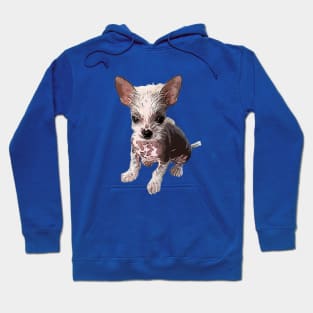 Chinese Crested Puppy Dog Hoodie